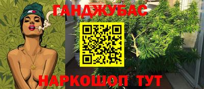 гидра Заволжье