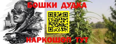 гидра Заволжье
