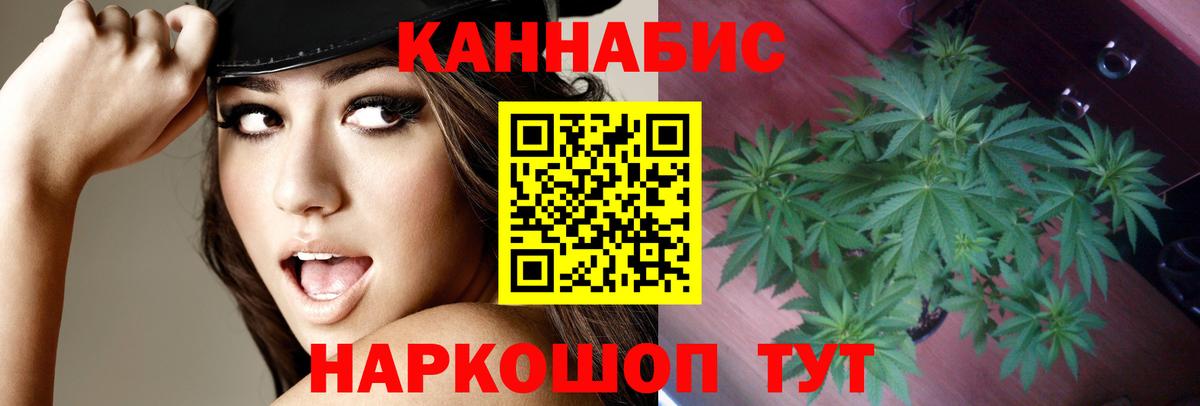 Шишки марихуана планчик Лангепас